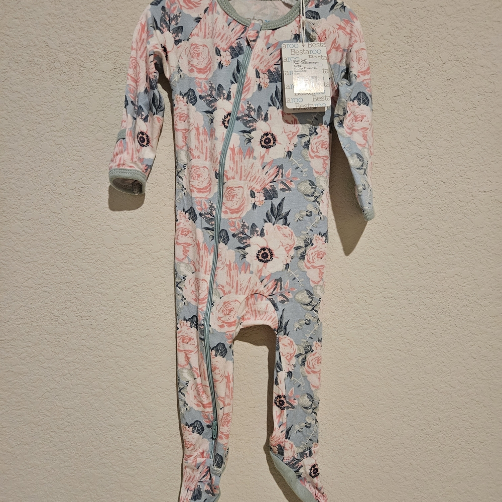 Burt's Bees Baby Floral One Piece - Pink and Blue